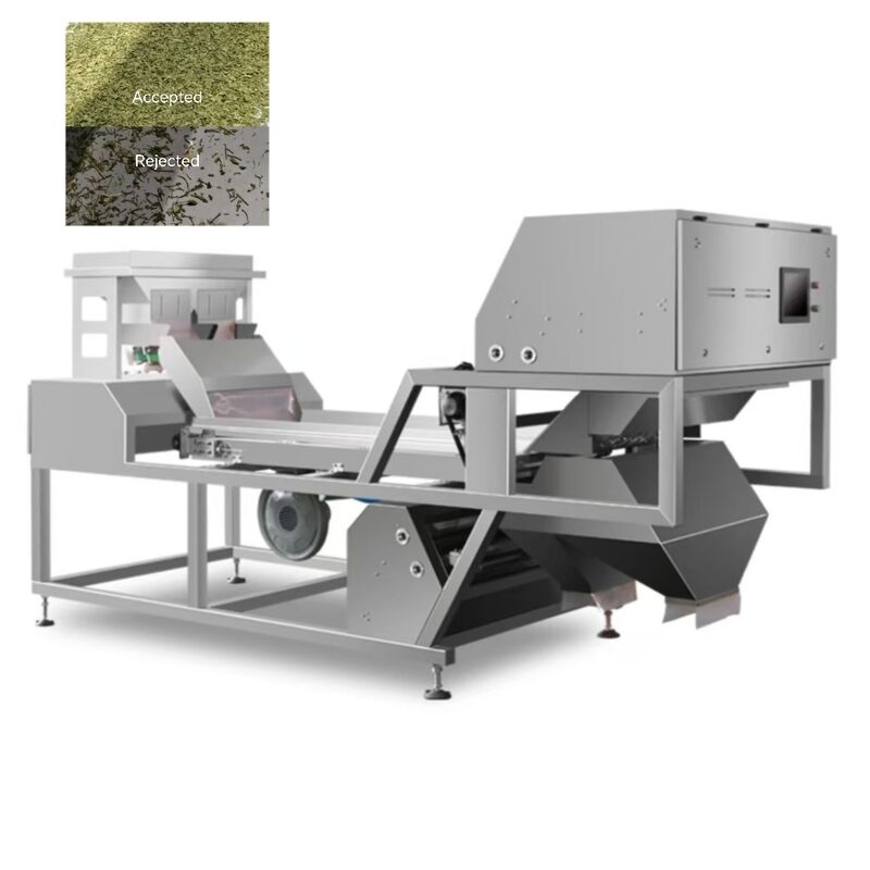 AI Belt Type Basil Color Sorter untuk Herbal & Rempah-rempah Kering.
