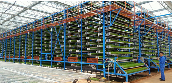 W-Frame Upward Circulating Bibit Sayuran Mesin Budidaya untuk Pertanian Vertikal