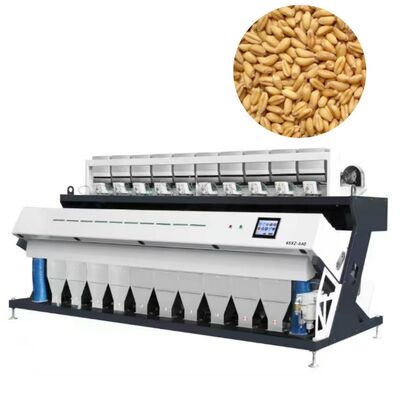10-Chute 20 T/H Penyortir Warna Biji-bijian Serealia Resolusi Tinggi untuk Gandum, Jagung, dan Biji-bijian.