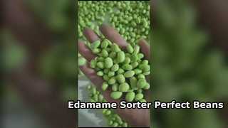 180 Penyortir Warna Edamame Tipe Crawler -Kapasitas Tinggi & Kerusakan Rendah.