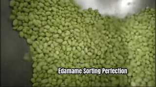 Penyortir Warna Tipe Sabuk untuk Kacang Edamame Beku