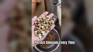 Penyortir Warna Tipe Sabuk untuk Almond.