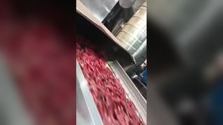 Dua penyortir warna cabai terlacak