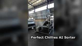 Penyortir Warna Tipe Sabuk