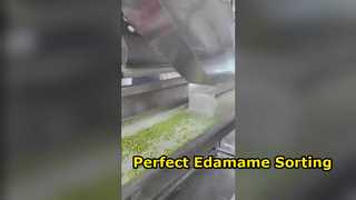 120 Penyortir Warna Edamame Tipe Crawler