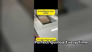 Penyortir Warna Efisiensi Tinggi untuk Quinoa Premium