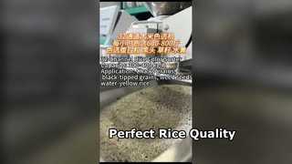 Penyortir Warna Beras 32 Saluran untuk Penggilingan Padi Kecil hingga Menengah.